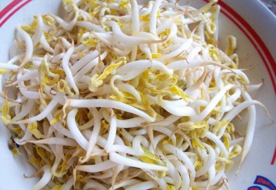 绿豆怎么种发芽最快 种绿豆芽的方法和步骤