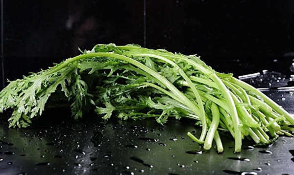阳台适合种植什么样的菜