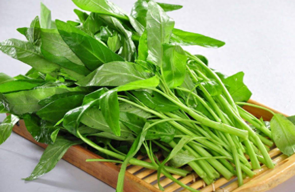 六月适合种什么蔬菜