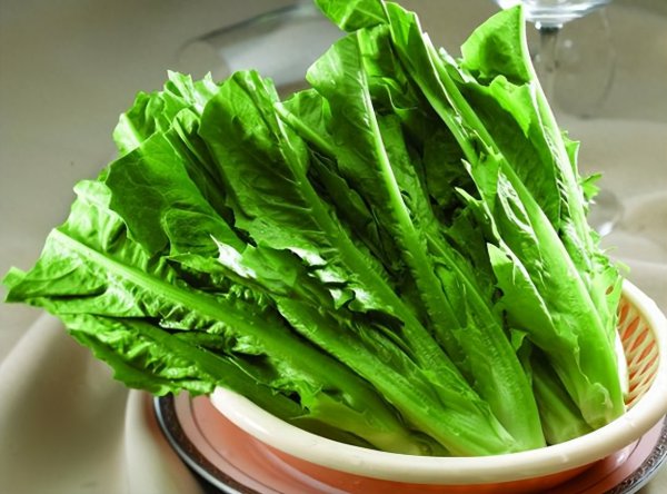 六月适合种什么蔬菜