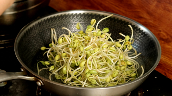 绿豆怎么种发芽最快