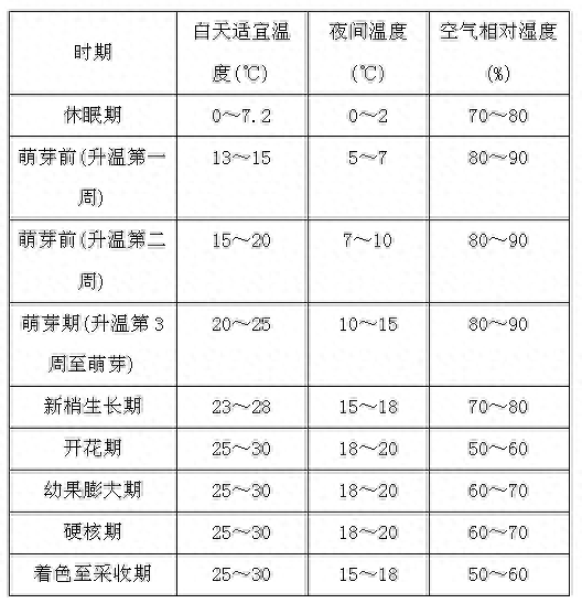 葡萄开春如何管理