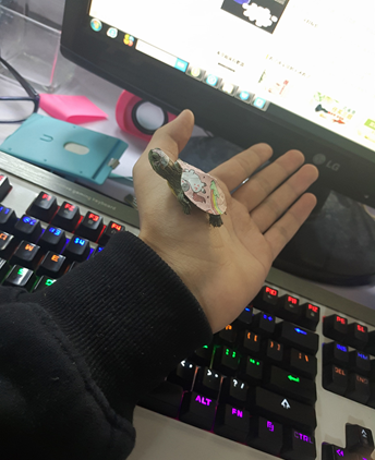 乌龟如何喂养比较合适