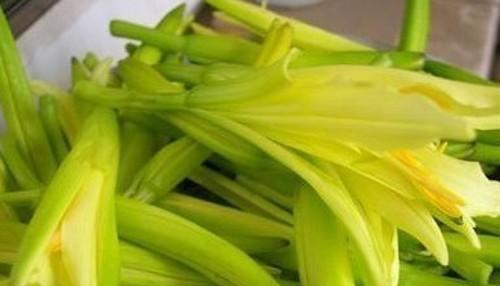 黄花菜怎么繁殖最快