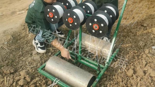 怎样种葱籽出苗快
