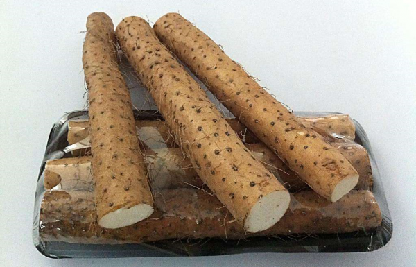 种山药需要什么样的土