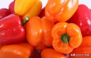 辣椒的种类有多少种