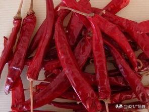 辣椒的种类有多少种