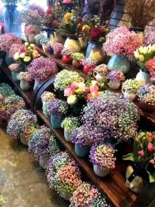 满天星适合送什么人 满天星的花语与寓意