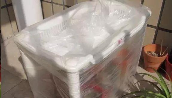 重瓣太阳花怎么养护