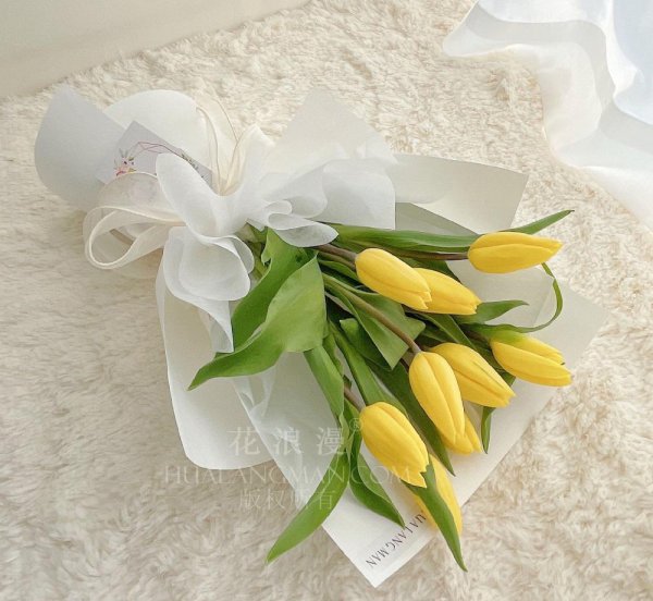 郁金香花语是什么