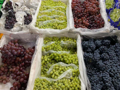 蓝莓葡萄是什么品种 常见葡萄种类大全