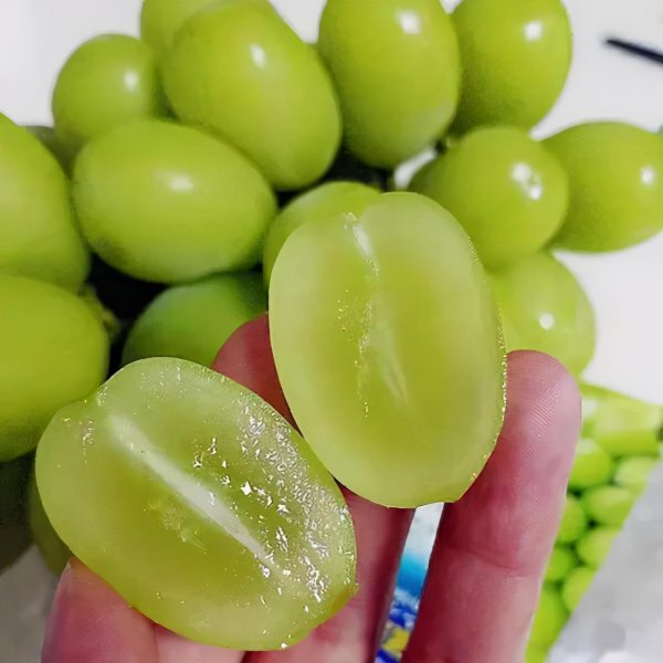 蓝莓葡萄是什么品种