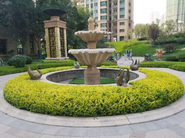 常见绿篱植物名称与图片