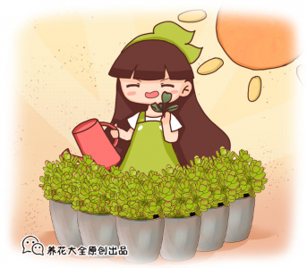 熊童子怎么养才能更旺盛 熊童子爆盆的简单方法