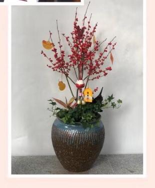 冬青的花语和寓意是什么