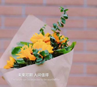 蓝色玫瑰花的花语是什么 花语寓意及赠送对象