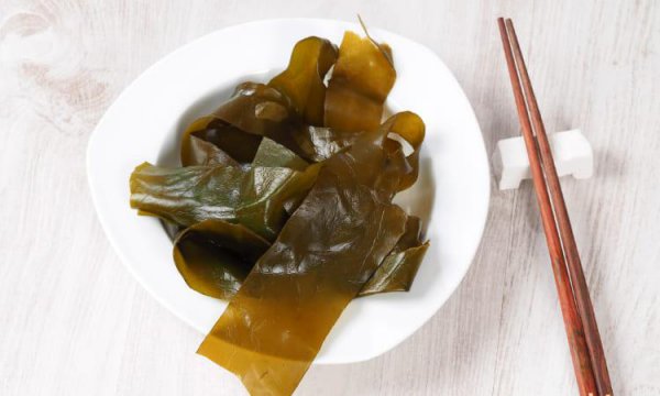 常见的藻类植物图片及名称
