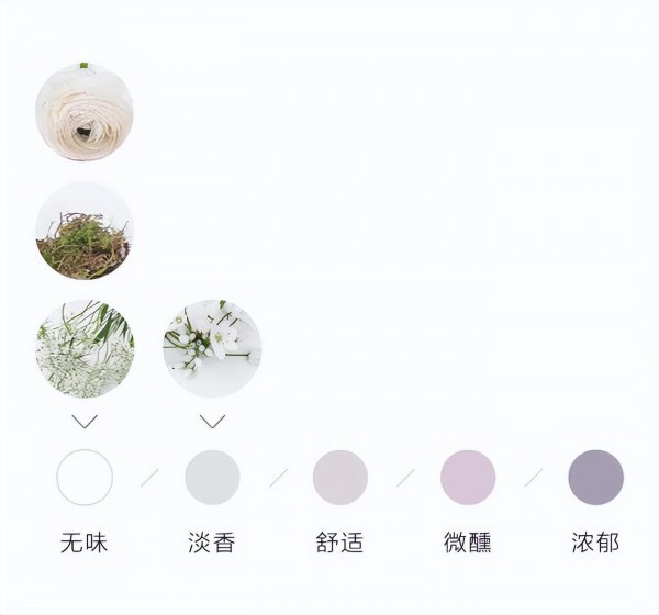 洋牡丹插花技巧和方法