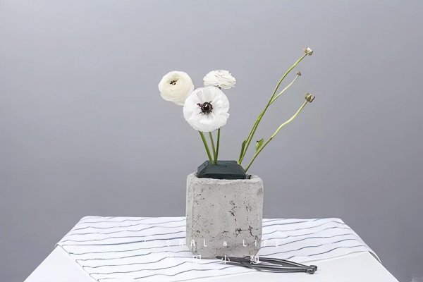 洋牡丹插花技巧和方法