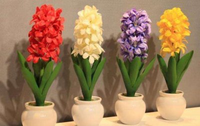 风信子水培寿命多久开花 分享风信子水培图解