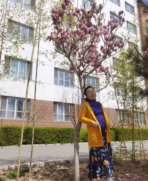 紫玉兰寓意象征意义是什么