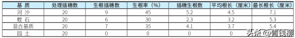 八宝景天扦插几天长根