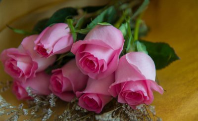 13朵玫瑰花代表什么花语 不同朵数玫瑰花代表的含义