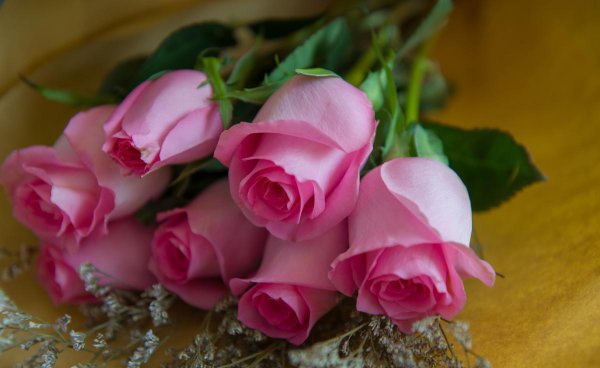 13朵玫瑰花代表什么花语