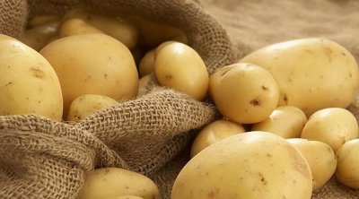 土豆怎么种植 土豆种植技术和管理