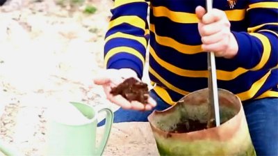 盆栽月季怎么浇水 详解月季花的养护技巧