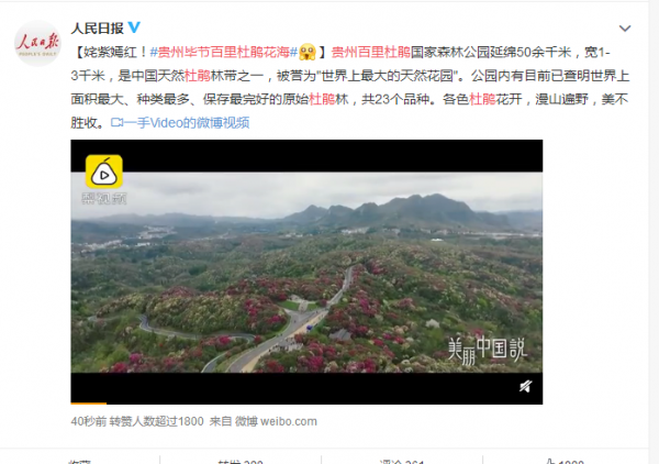 贵州杜鹃花什么时候开花