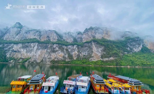 贵州杜鹃花什么时候开花