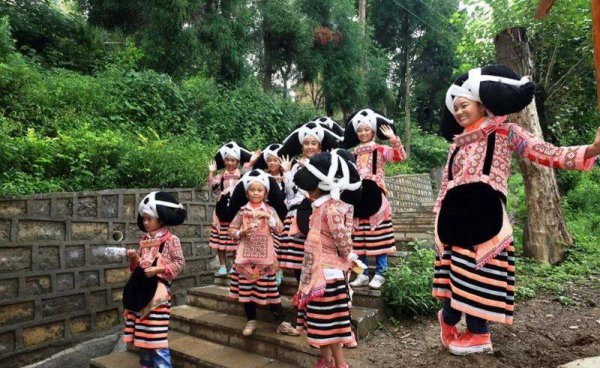 贵州杜鹃花什么时候开花