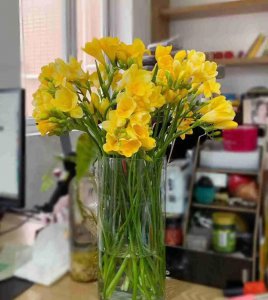 室内盆栽什么花最香 盘点八种室内好养的花