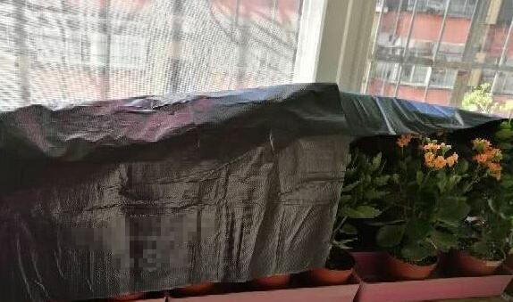 长寿花怎么样才能开花不散开