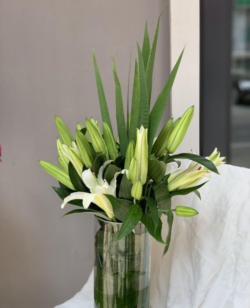水养百合花苞一晚快速开花