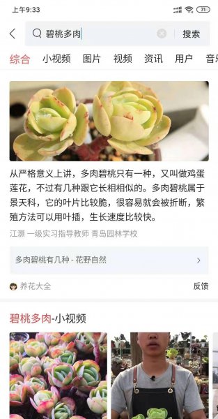 多肉碧桃的养殖方法和注意事项