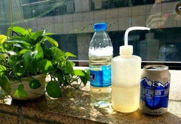 啤酒可以直接浇花吗
