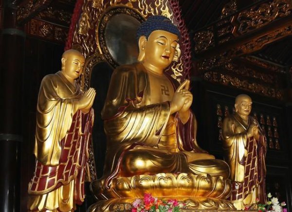 佛教中莲花的寓意和象征