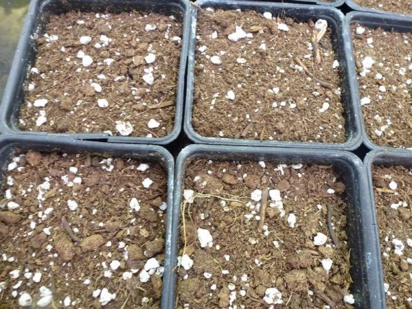 怎样配制养花通用土肥料