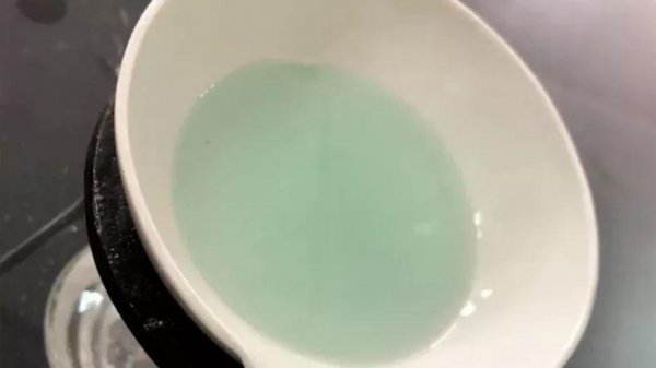 杜鹃花的正确浇水方法
