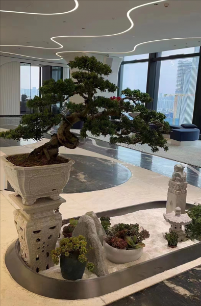 后院适合栽什么树旺家风水好