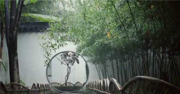 竹子的寓意和象征是什么意思