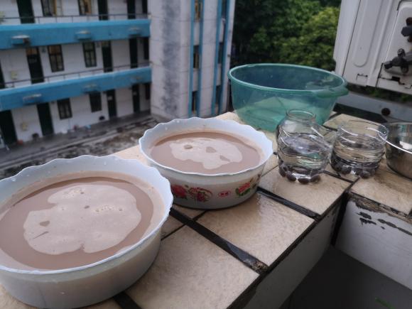 碗莲什么时候开花水培好