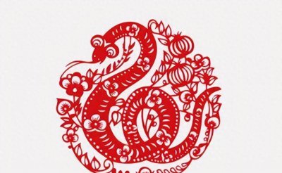 属蛇的人最旺的植物是什么 讲解属蛇女办公室摆放绿植