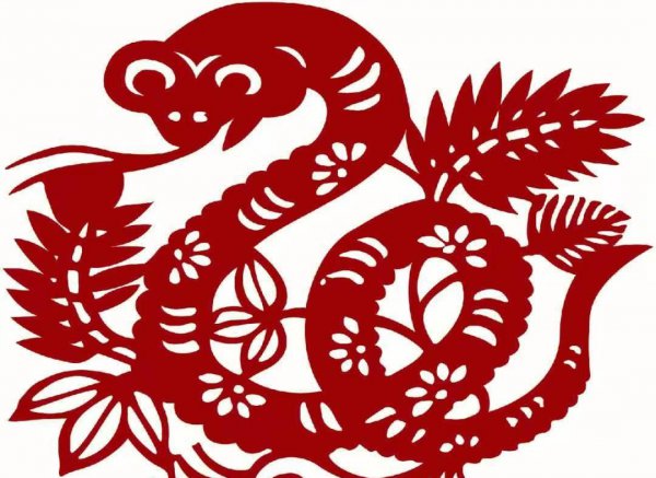 属蛇的人最旺的植物是什么