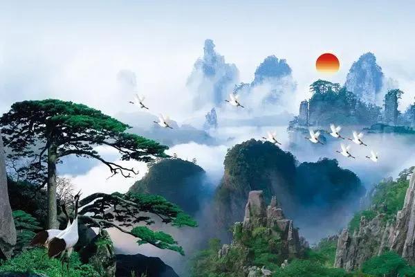 家里摆迎客松的寓意是什么