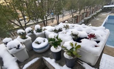 晚上3到4度多肉在外面可以吗 多肉过冬的最佳方法