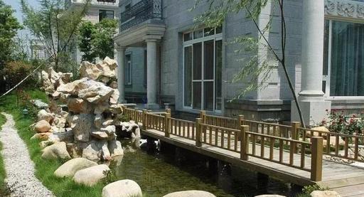 风水上为什么不能养藤蔓植物的原因